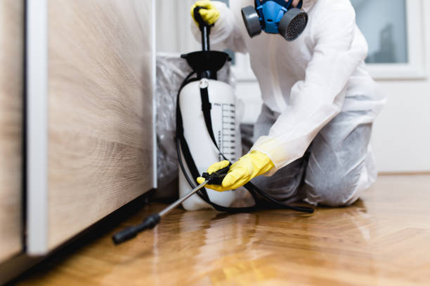 Best Termite Control Services  in Sparks, TX