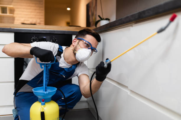 Trusted Sparks, TX Pest Control Experts