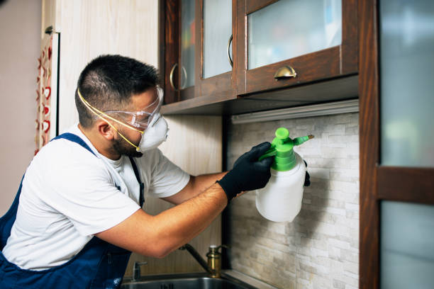 Wasp Removal Services in Sparks, TX