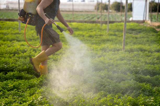 Reliable Sparks, TX Pest Control Solutions