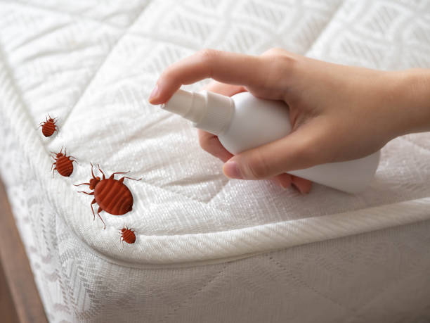 Best Exterminator Services  in Sparks, TX